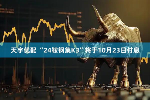 天宇优配 “24鞍钢集K3”将于10月23日付息
